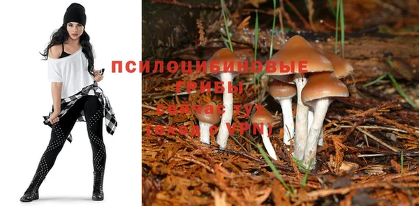 2c-b Армянск