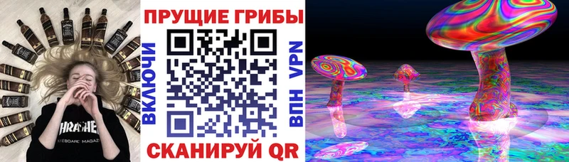 Псилоцибиновые грибы прущие грибы  Орлов 