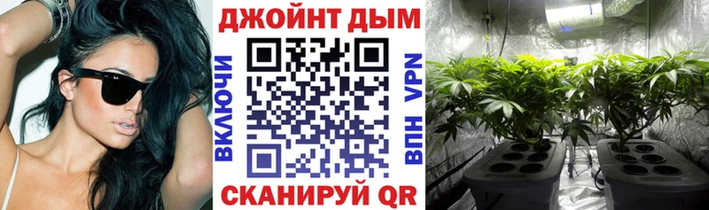 Бошки марихуана SATIVA & INDICA Орлов