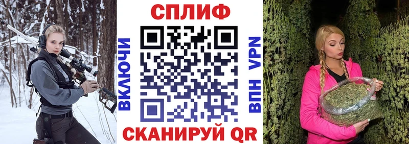 Каннабис семена  Орлов 